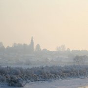 Zuzmara