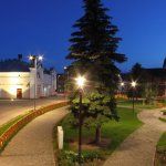 A park éjszaka